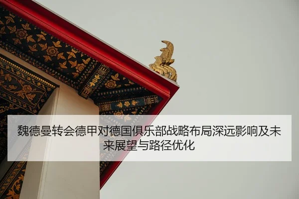 魏德曼转会德甲对德国俱乐部战略布局深远影响及未来展望与路径优化