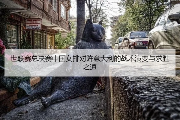 shi-lian-sai-zong-jue-sai-zhong-guo-nv-pai-dui-zhen-yi-da-li-de-zhan-shu-yan-bian-yu-qiu-sheng-zhi-dao-3-496.jpg