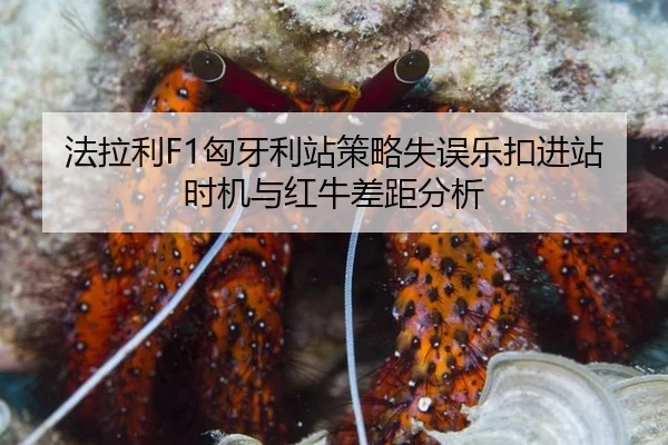 fa-la-li-xiong-ya-li-zhan-ce-lve-shi-wu-le-kou-jin-zhan-shi-ji-yu-hong-niu-cha-ju-fen-xi-2-790.jpg